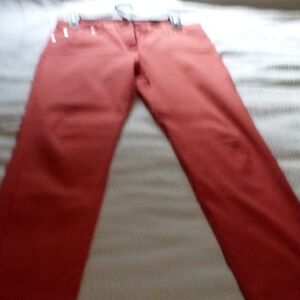 Zac & Rachel Women's Skinny Pants in Warm Rust